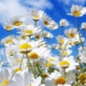 Meet your Posher, Abigail